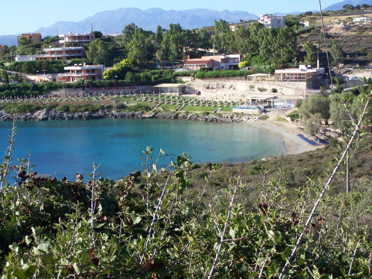 Manolo S Olive Farm, With Seaview Lägenhet