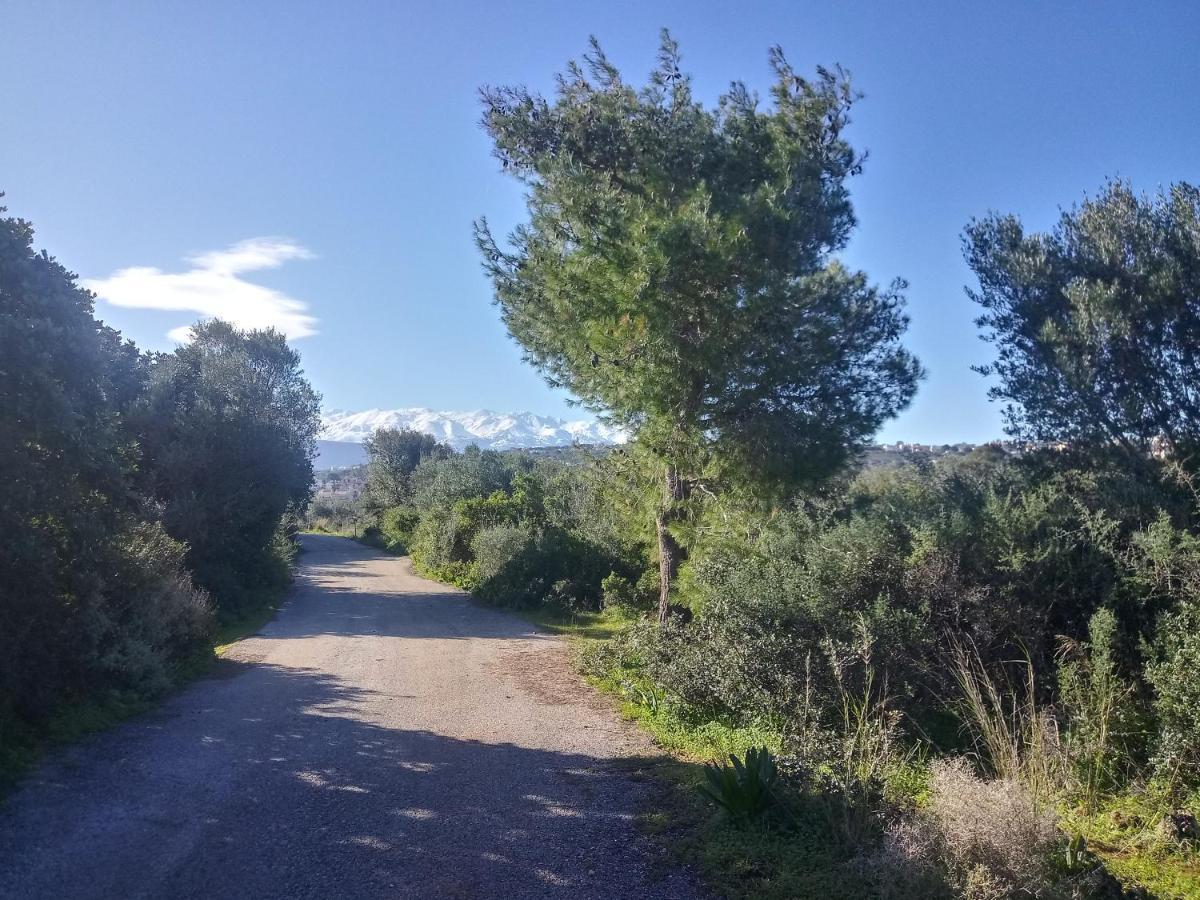 Lägenhet Manolo S Olive Farm, With Seaview *