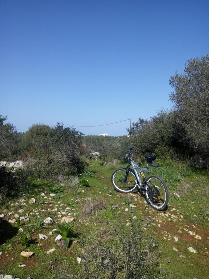 Manolo S Olive Farm, With Seaview Lägenhet *