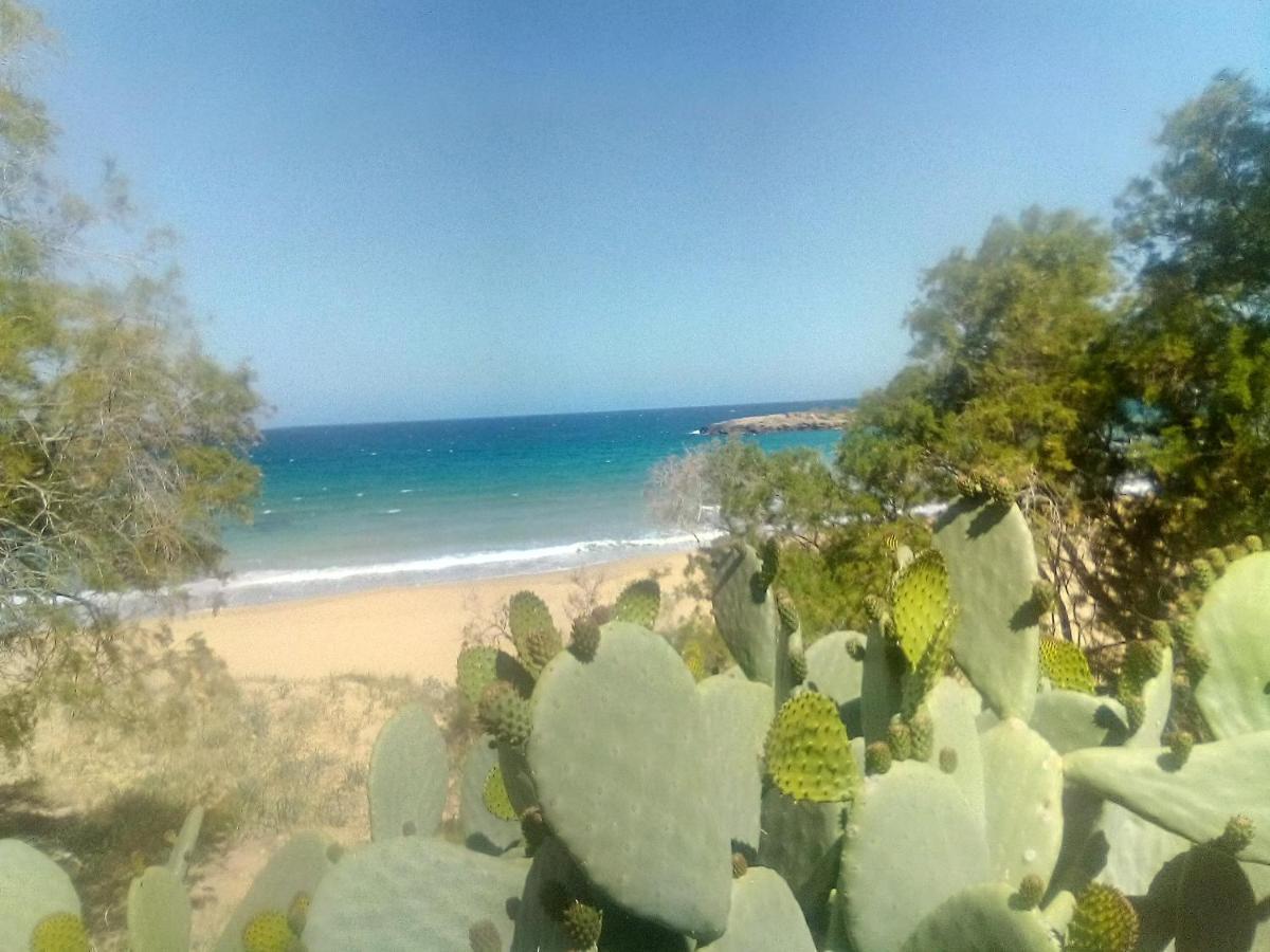 Lägenhet Manolo S Olive Farm, With Seaview *