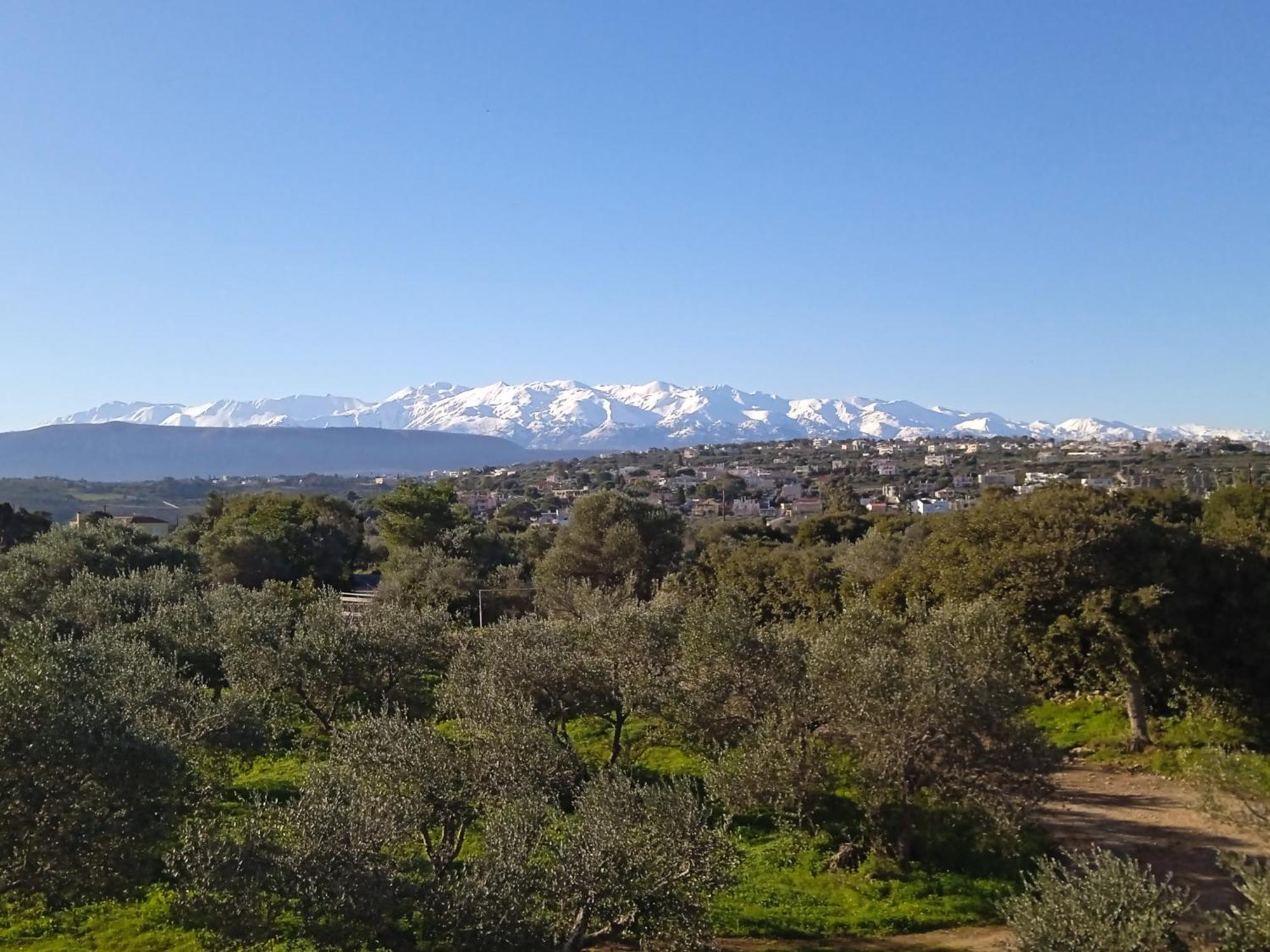 Manolo S Olive Farm, With Seaview Lägenhet